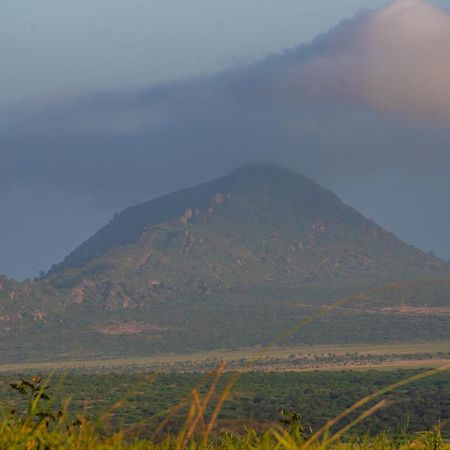 Voi Safari Lodge Eksteriør billede