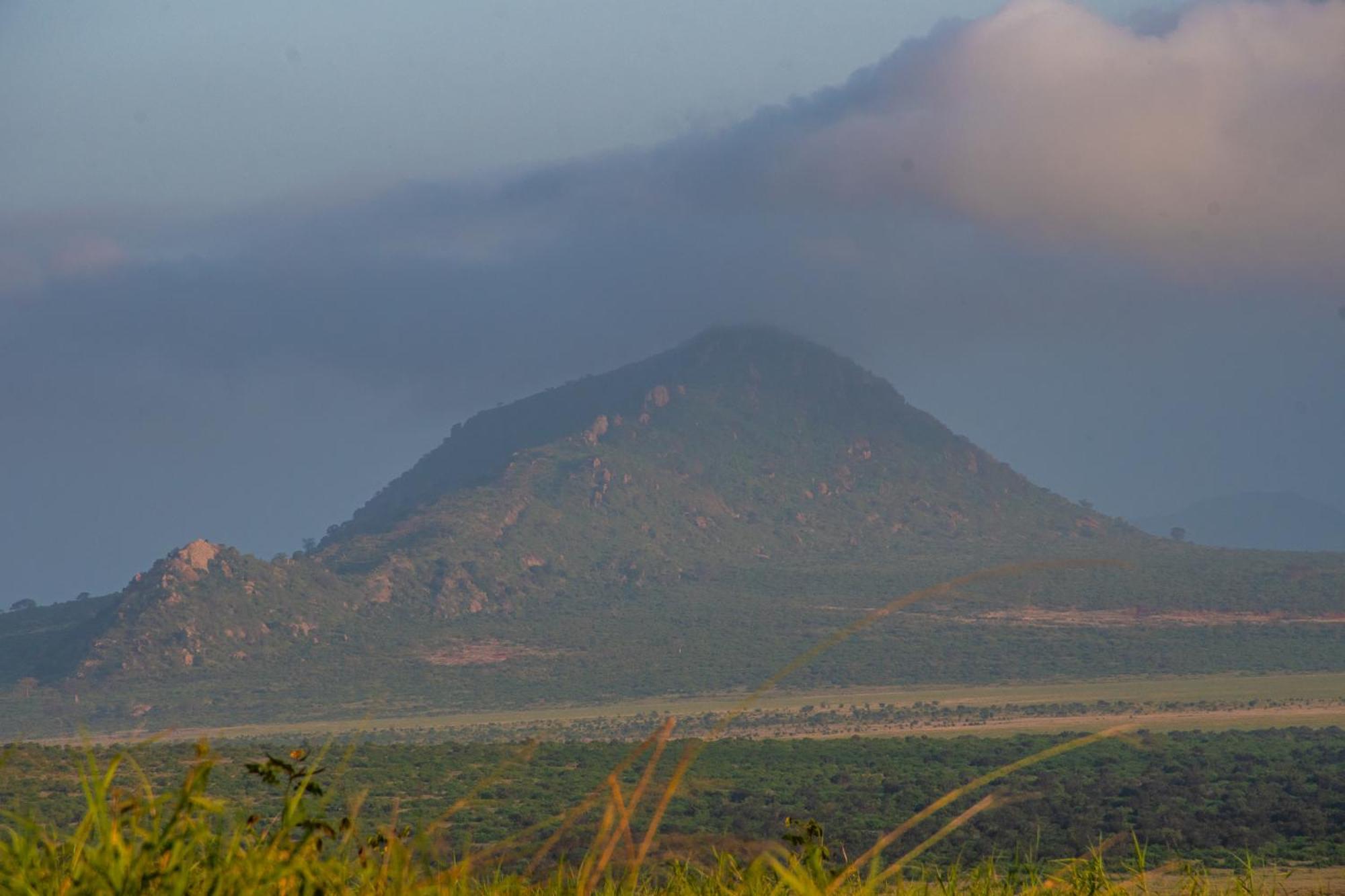 Voi Safari Lodge Eksteriør billede