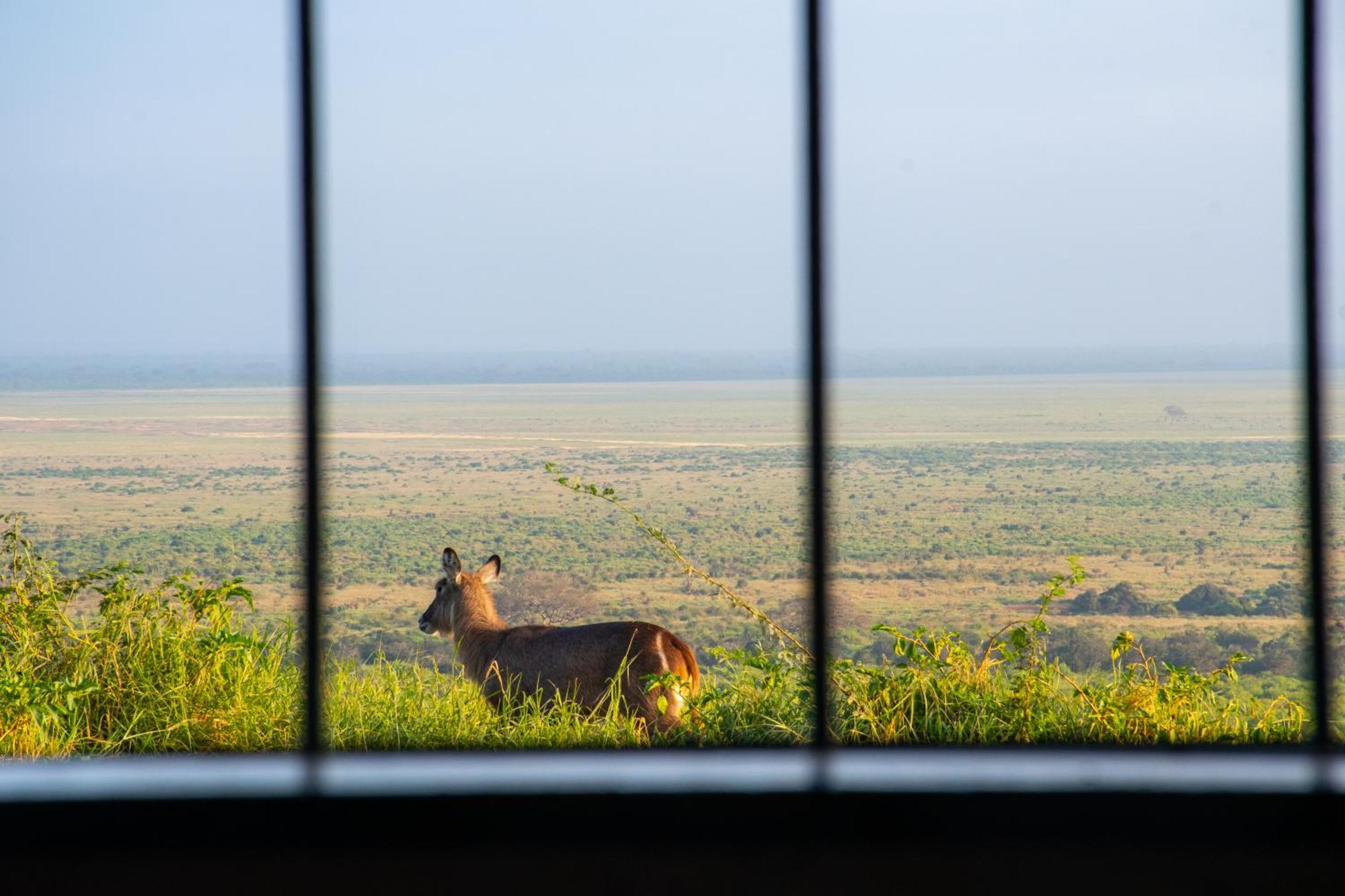 Voi Safari Lodge Eksteriør billede