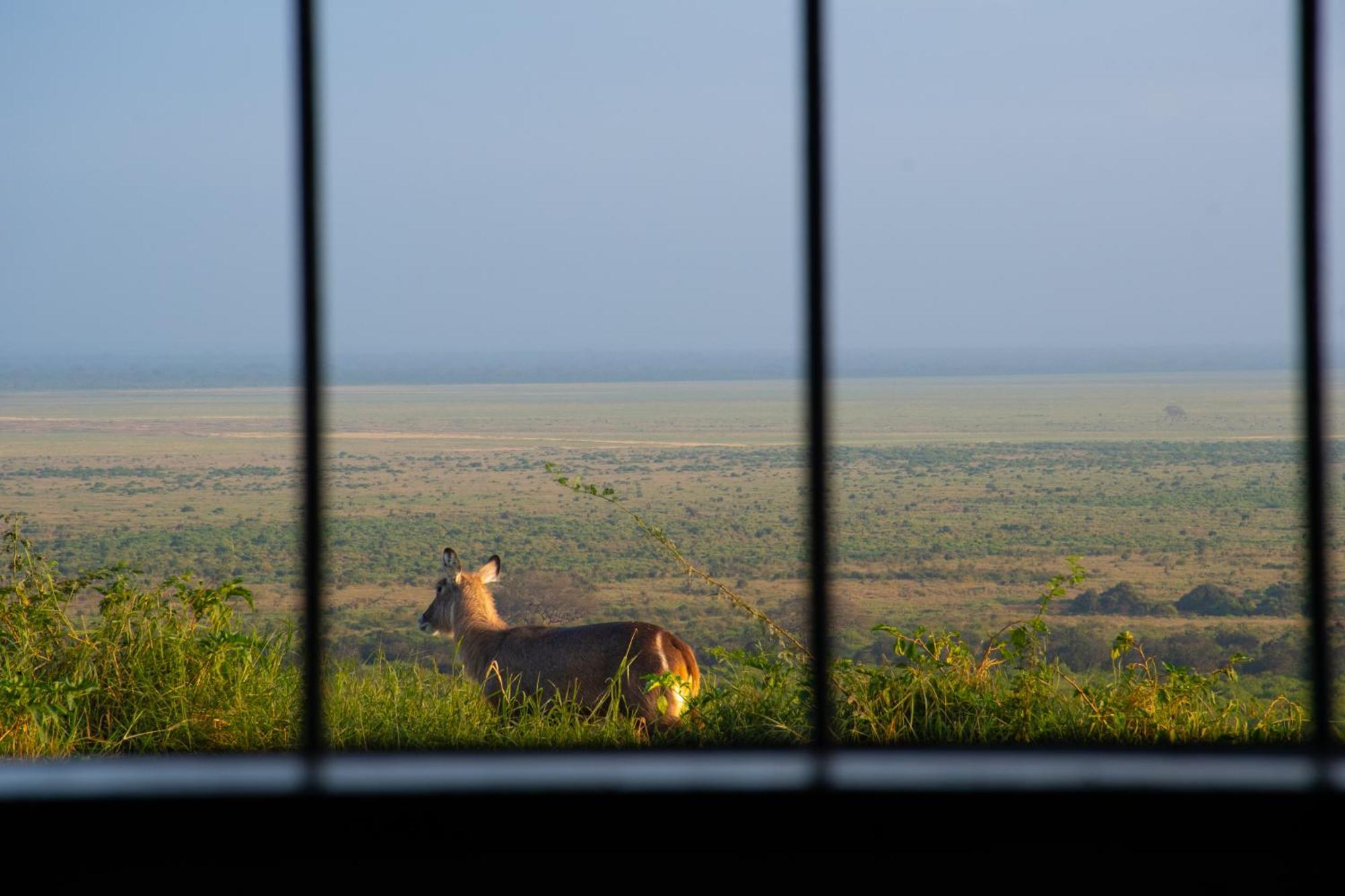 Voi Safari Lodge Eksteriør billede